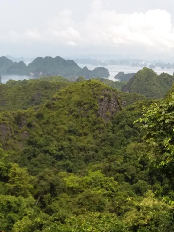 Duc Tuan Hotel Хайфон Екстер'єр фото